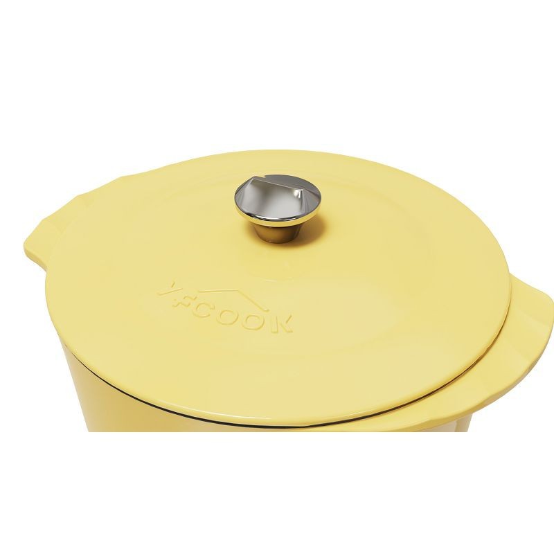 Enamel Cast Iron Pot With Lid best